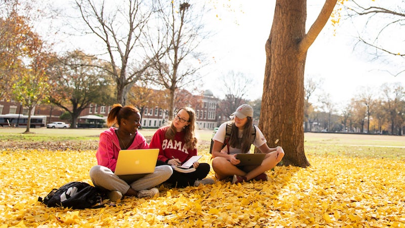 three students sit together on bright yellow leaves at the UA quad