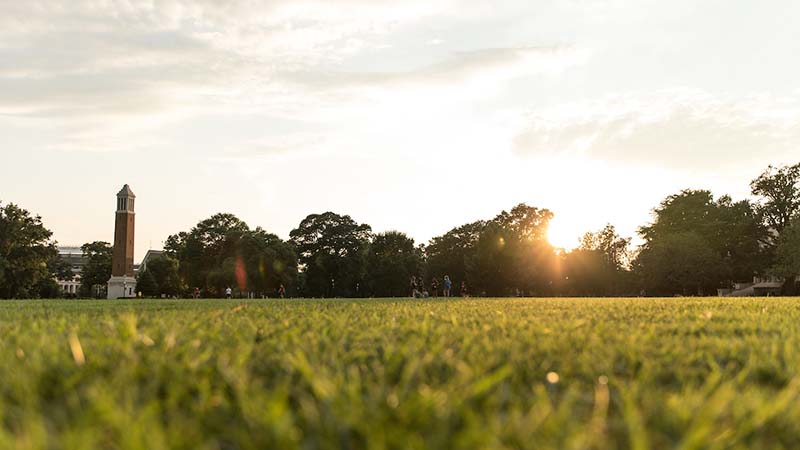 Ground level view of the quad facing Denny Chimes